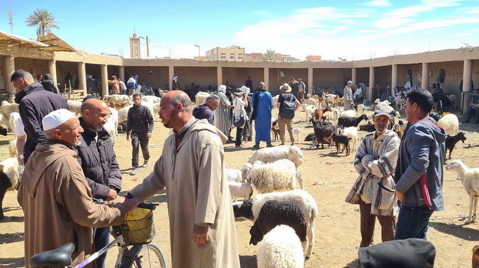 Mercado de cabras